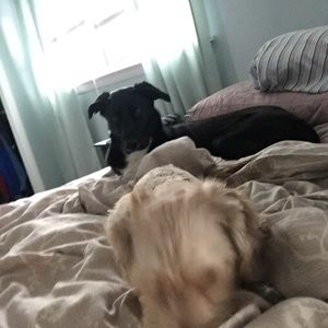 Meet your Posher, Lupe